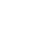 PSI Sports Inc