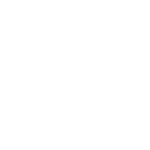 PSI Sports Inc