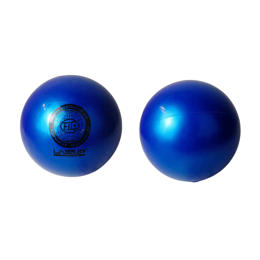 Gymnastic Ball