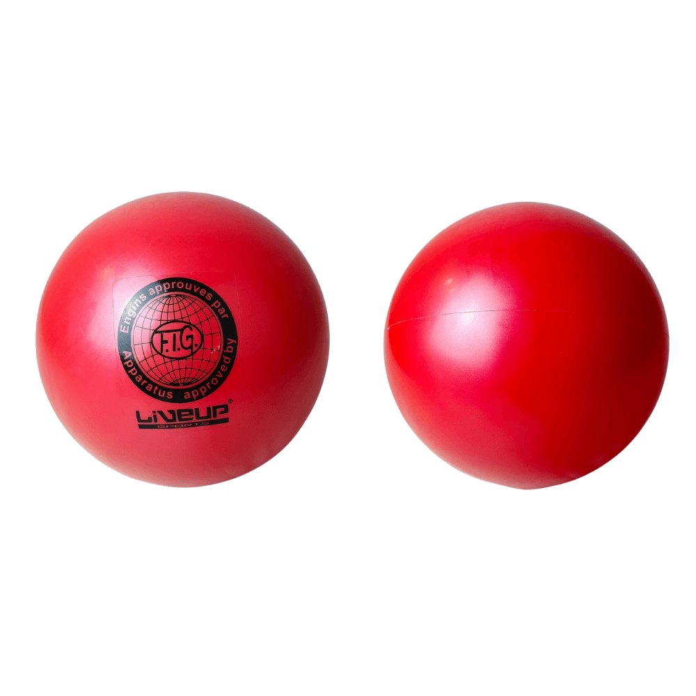 Gymnastic Ball