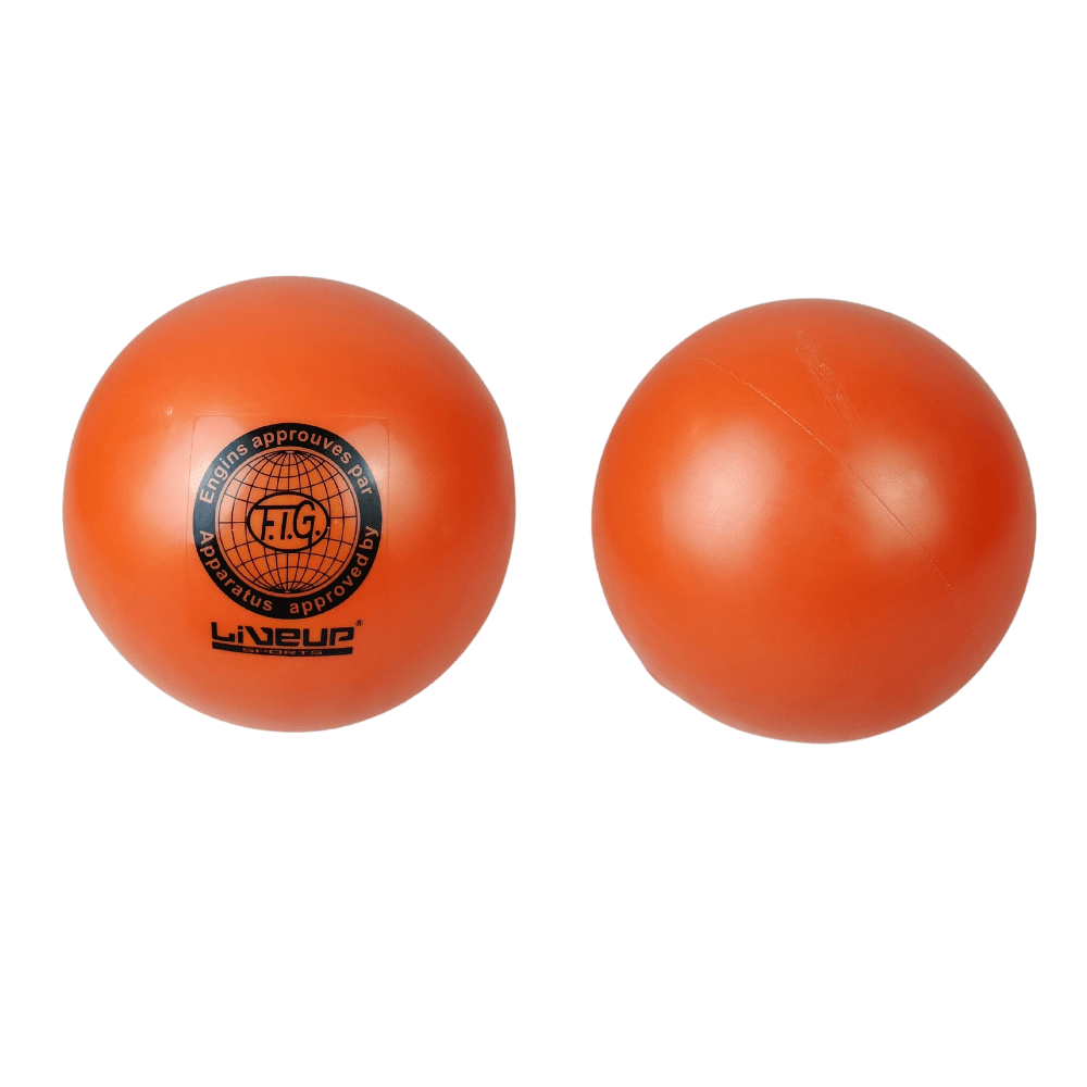 Gymnastic Ball