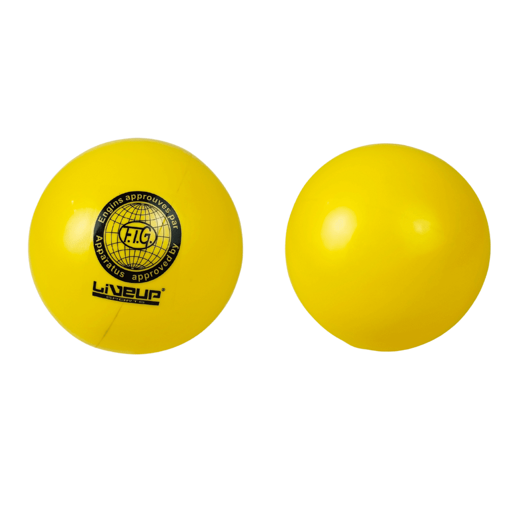Gymnastic Ball